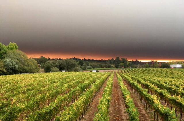 View of the fires from the winery